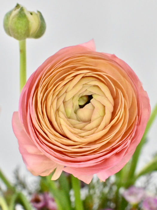 Peach Rani Garden Vase