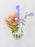 Peach Lavender Money Garden