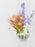Peach Lavender Money Garden