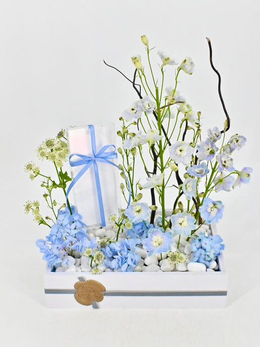 Baby Blue Money Garden