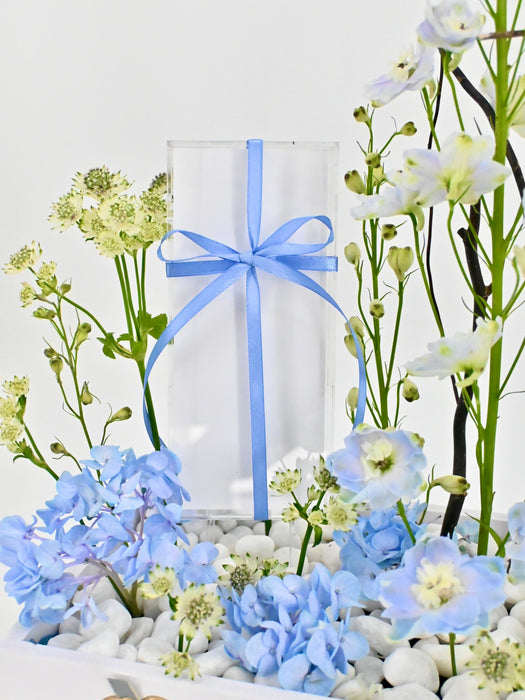 Baby Blue Money Garden