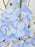 Baby Blue Money Garden