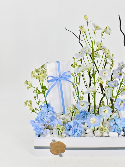 Baby Blue Money Garden