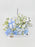 Baby Blue Money Garden
