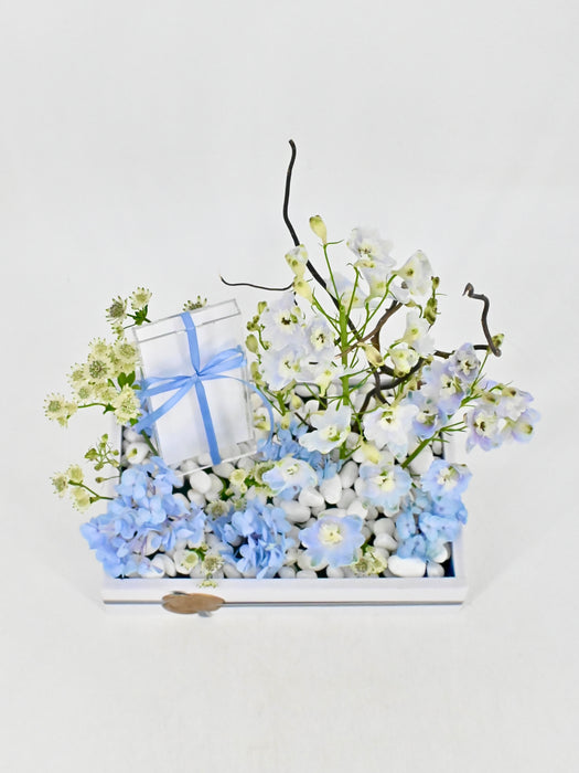 Baby Blue Money Garden