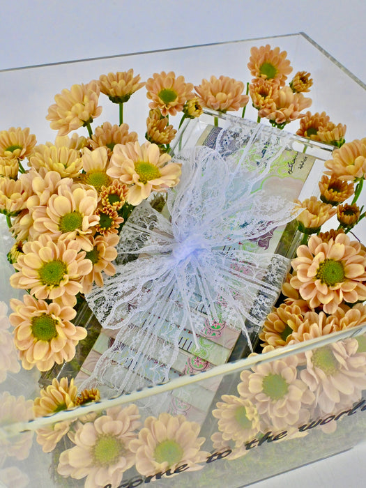 Santini Money Arrangement