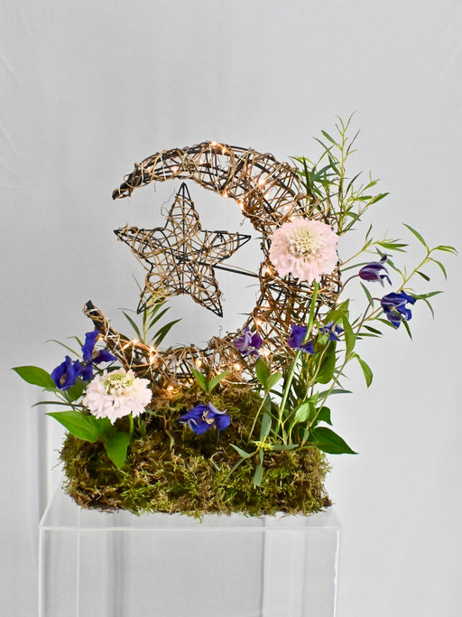 Fairy Crescent Garden