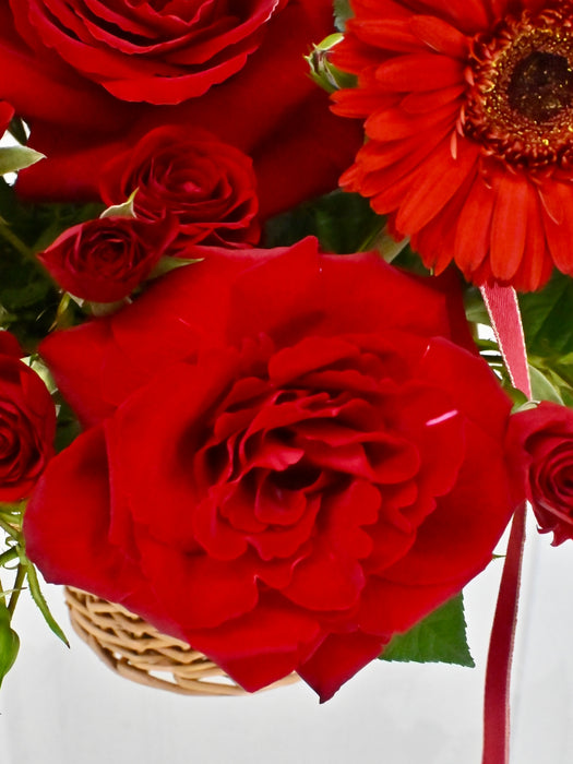 Basket of Love 2.0