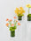 Eid Vase Set