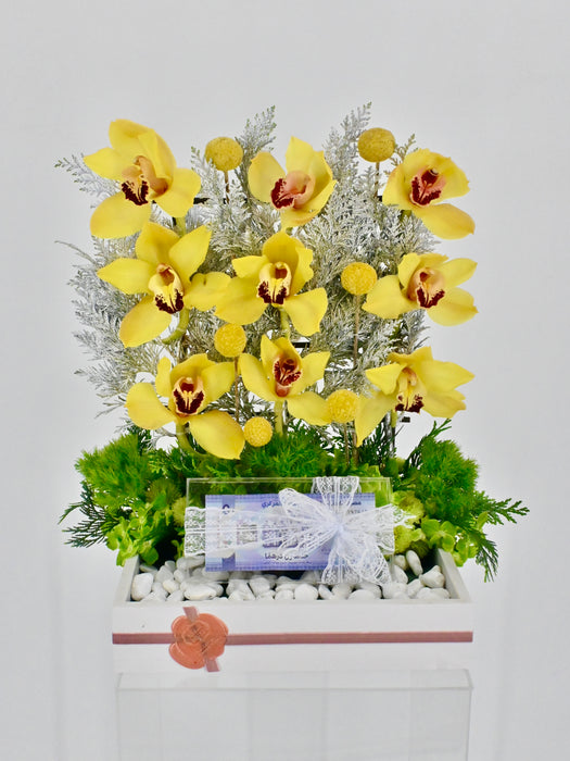 Cymbidium Money Arrangement