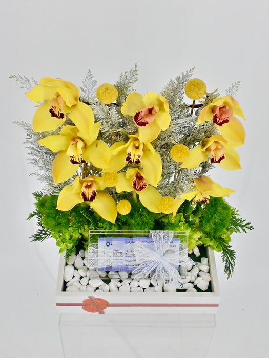 Cymbidium Money Arrangement