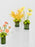 Eid Vase Set