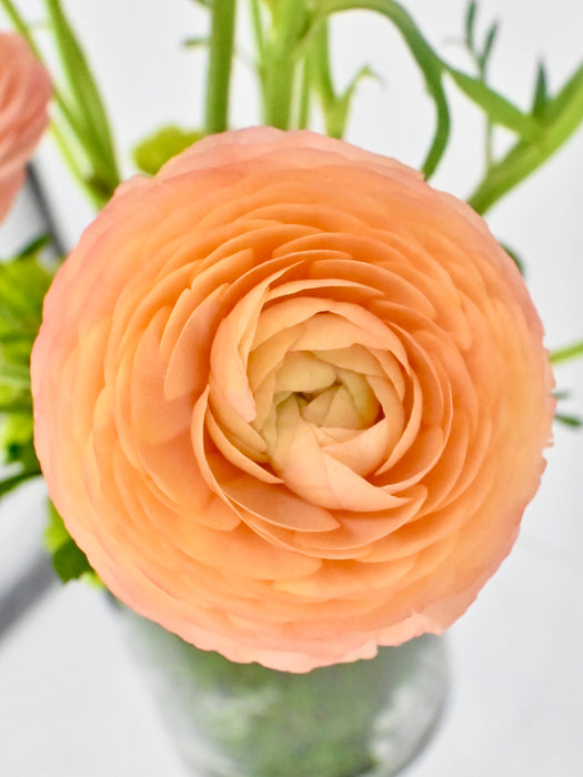 Eid Vase Set