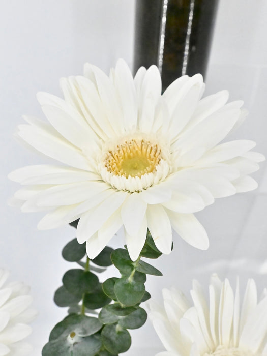 White and Green Vase Set
