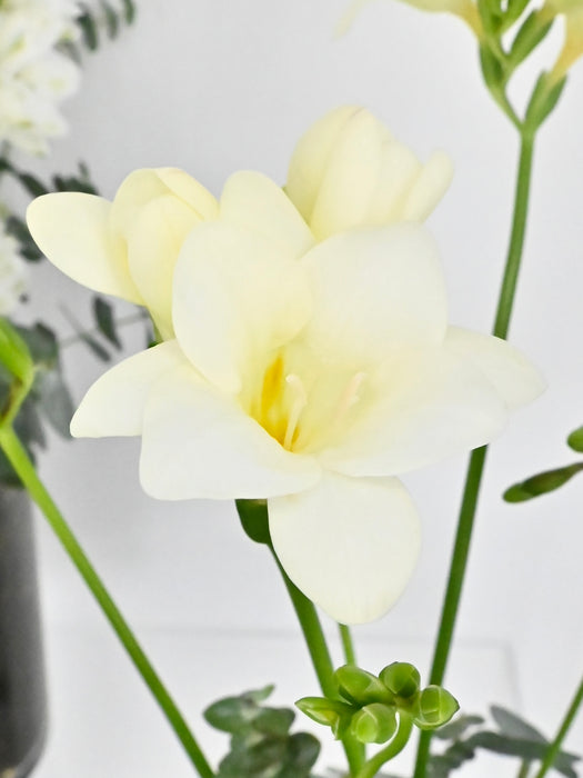 White and Green Vase Set