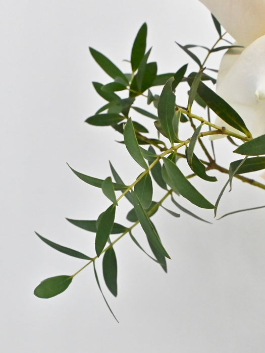 Ramadan Kareem Bloom Garden