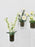 White and Green Vase Set