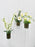 White and Green Vase Set
