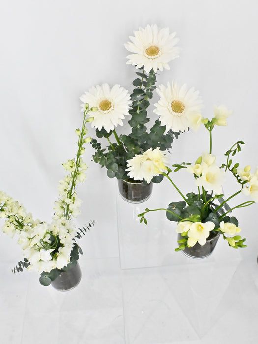 White and Green Vase Set