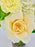 Buttercup Garden