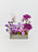 Andrea Money Arrangement