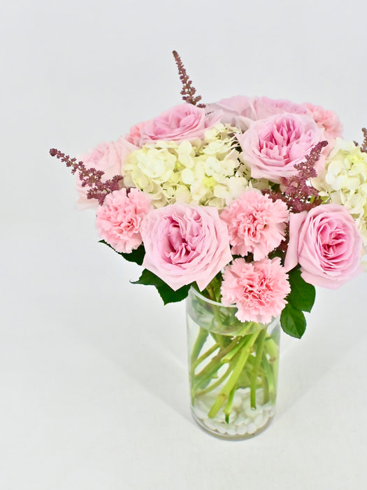 Ohara Bloom