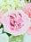 Ohara Bloom