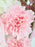 Ohara Bloom