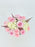 Ohara Bloom