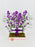Aster Money Arrangement