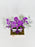 Aster Money Arrangement
