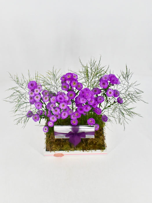 Aster Money Arrangement