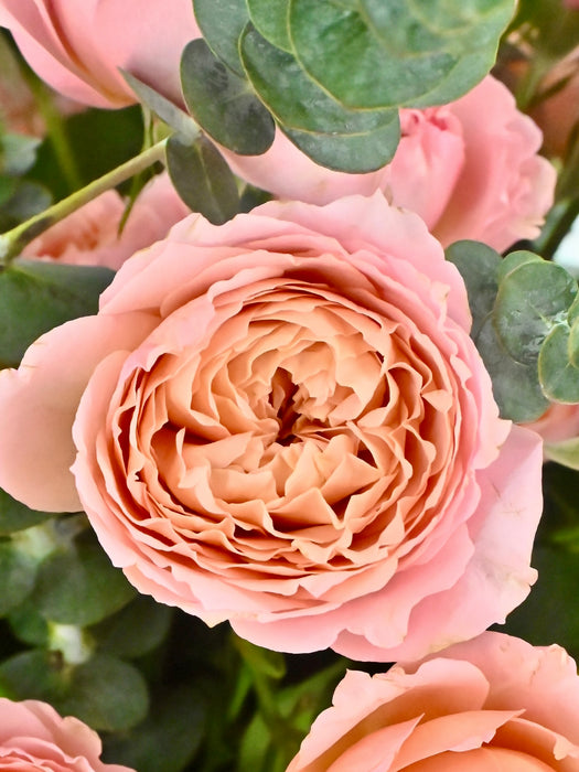 Julietta Eid Vase