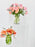 Amaryllis Juls Vase Set