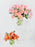 Amaryllis Juls Vase Set