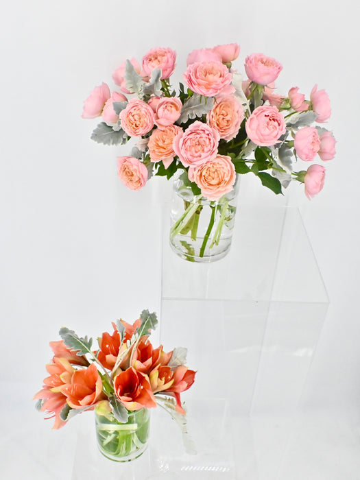 Amaryllis Juls Vase Set