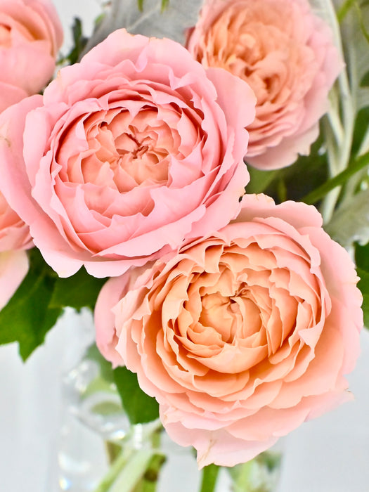 Amaryllis Juls Vase Set