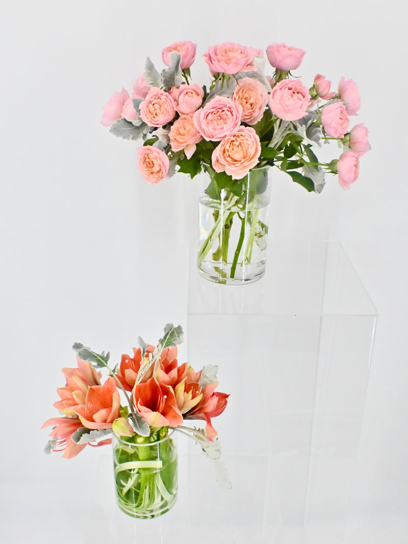 Amaryllis Juls Vase Set
