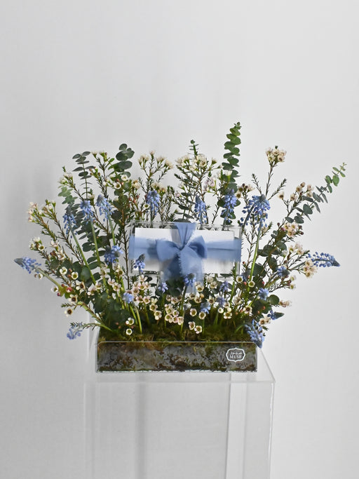 Chamelaucium Alida Money Gift