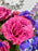 Purple and Pink