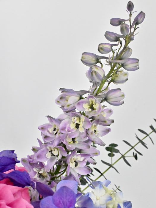 Purple and Pink