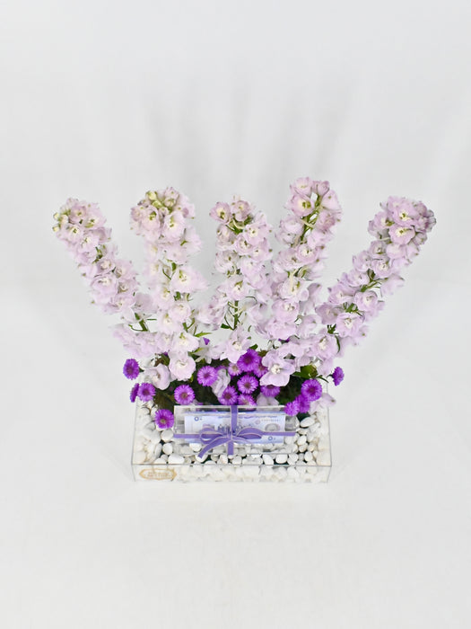 Delphy Lavender