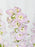 Delphy Lavender