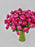 Cerise Beauty