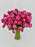 Cerise Beauty