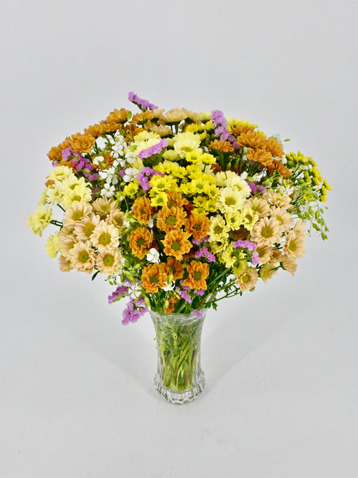 Santini Garden Mix