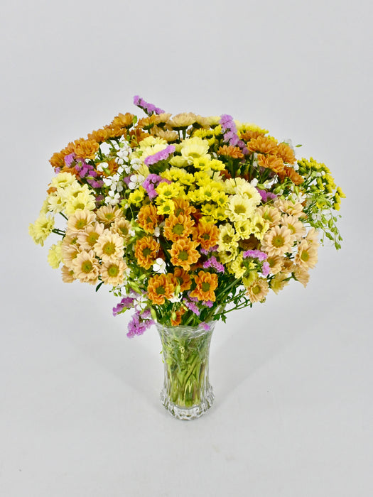 Santini Garden Mix