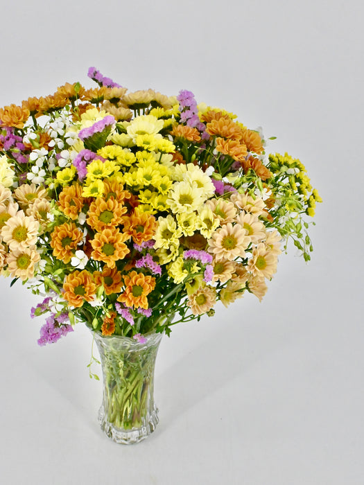 Santini Garden Mix