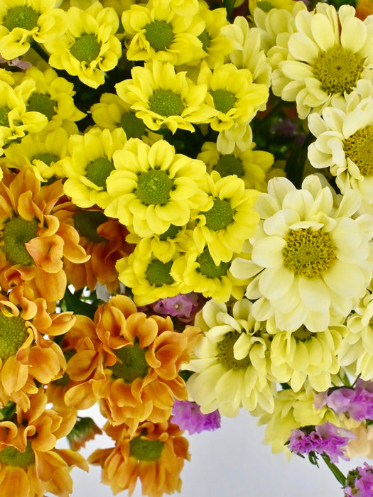 Santini Garden Mix