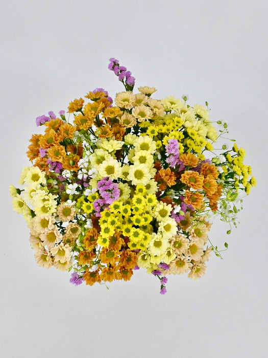 Santini Garden Mix